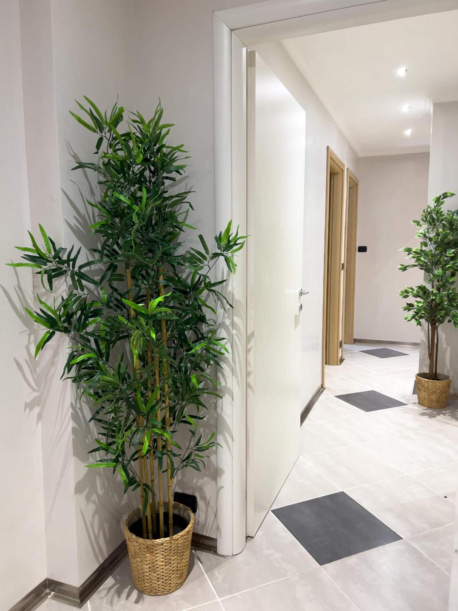 Sofia Guest House Rome Exterior photo